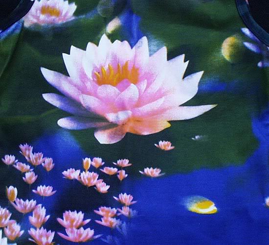 My Image 70