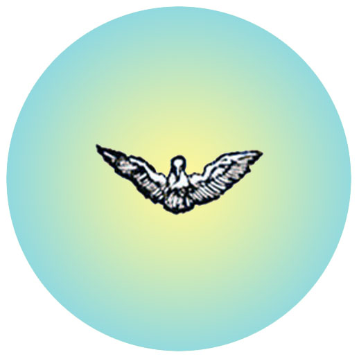 Durer Dove