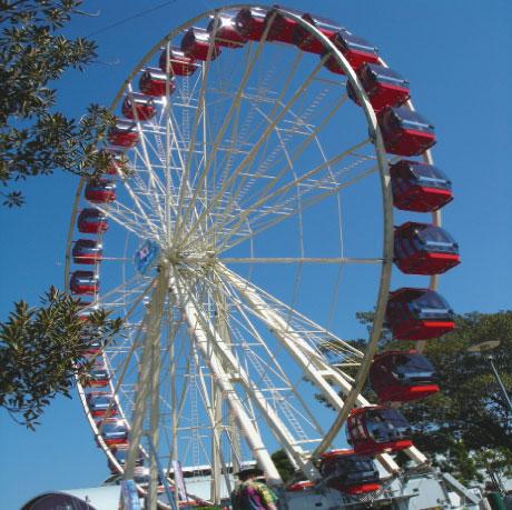 FerrisWheel(460x459).jpg