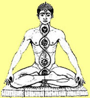 yogi, chakras
